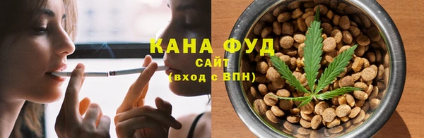 МДПВ Ельня