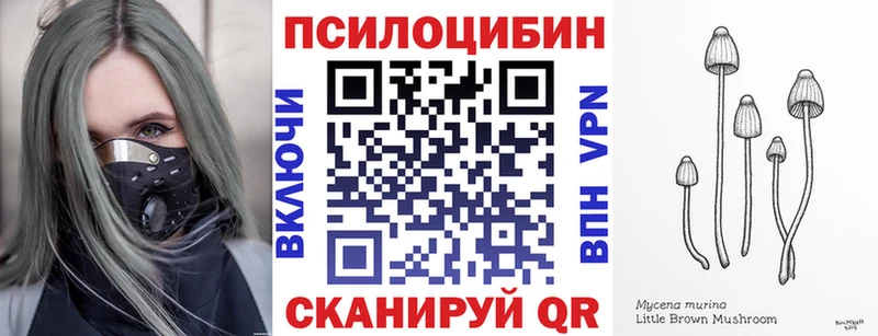 kraken сайт  Гдов  Галлюциногенные грибы Magic Shrooms 