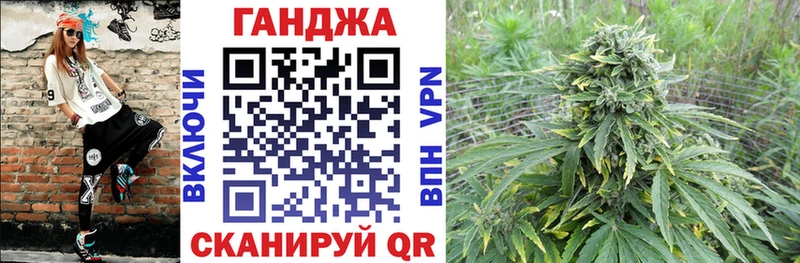 Бошки Шишки план  купить  цена  Гдов 